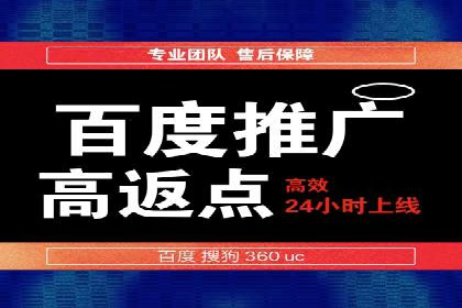 实战技巧：竞价推广案例解析与优化策略